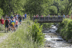©-arno-gruber-sen.AY7A7887151329305011.-Juni-2025-50-von-140