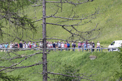 ©-arno-gruber-sen.AY7A8058154333428012.-Juni-2025-80-von-395