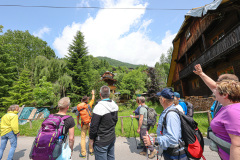Sommermusi-2025-0567148321432509