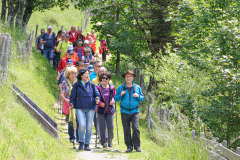 Sommermusi-2025-75791473207018909